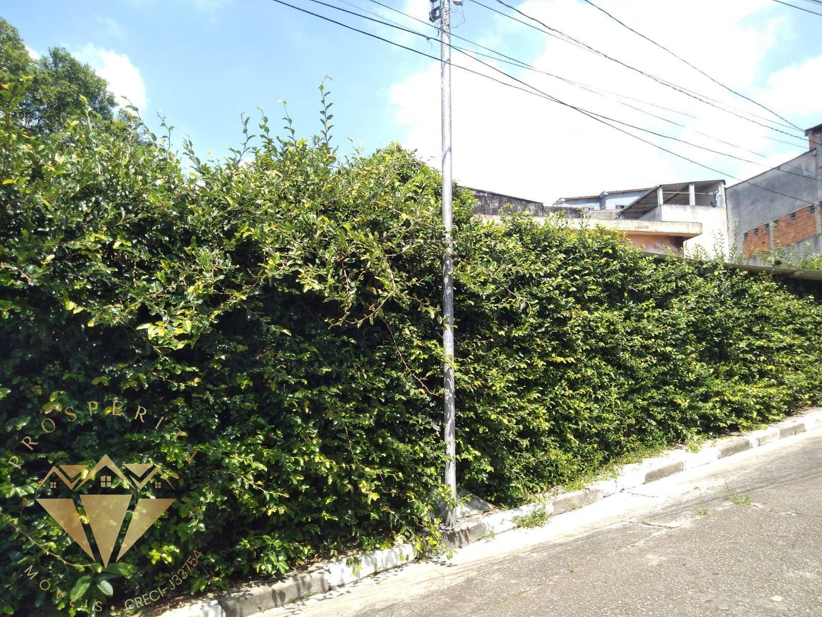Terreno, 250 m² - Foto 4